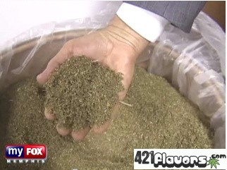 Crappy Government Pot fedspot