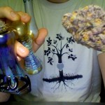 purpweed purpweed