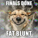 finals-done finals-done
