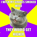 grades-smoked-weed grades-smoked-weed