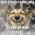 great-idea-stonerdog great-idea-stonerdog