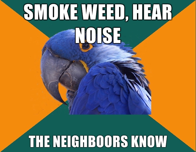 paranoid-parrot-smoke-weed-meme.jpg