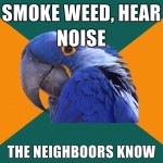 paranoid-parrot-smoke-weed-meme paranoid-parrot-smoke-weed-meme