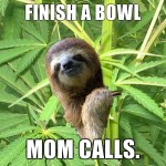 stone-sloth stone-sloth