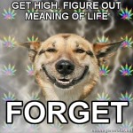 stoner-dog-meaning-of-life stoner-dog-meaning-of-life
