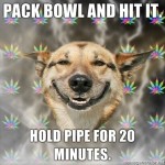 stoner-dog-pack-bowl-hold-pipe-20mins stoner-dog-pack-bowl-hold-pipe-20mins
