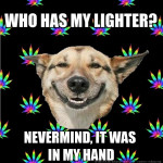 stoner-dog-who-has-my-lighter stoner-dog-who-has-my-lighter
