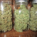 good-grass