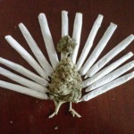 turkey-joint